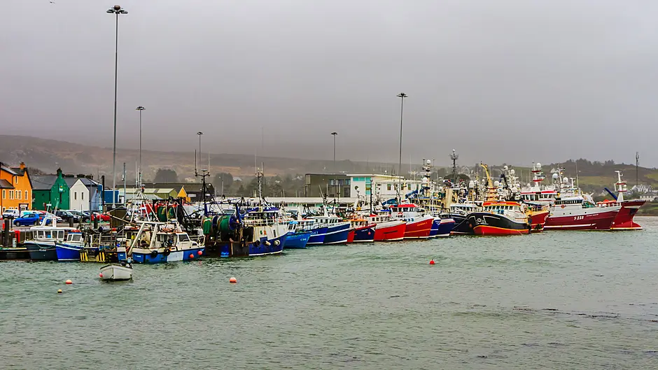 Our fishing industry is sustainable, so why are we intent on trashing it? Image