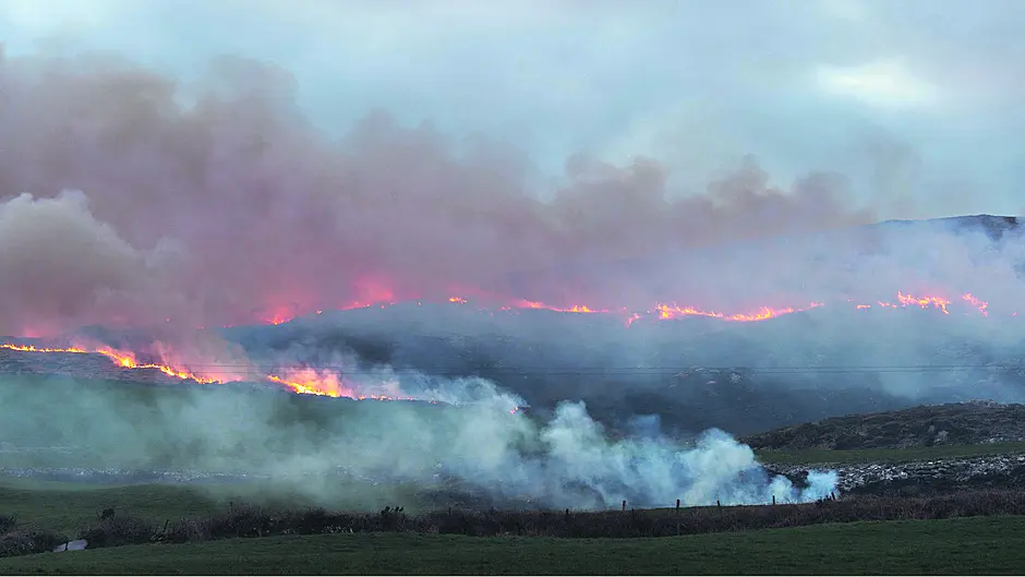 Gorse fires have outlived their usefulness – so ban them now Image