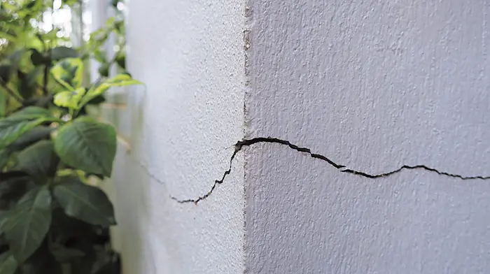 Don't be shy when viewing a property Image