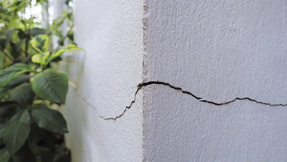 Don't be shy when viewing a property Image