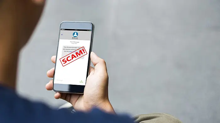 E-flow toll bridge scam texts on the rise, says bank Image