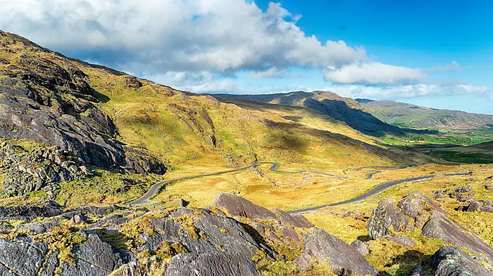 Five things to do in West Cork this weekend Image