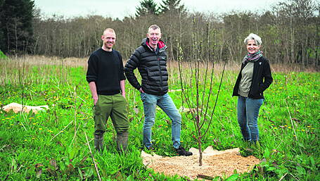 ‘Tree’ cheers for Lodge and Spa’s 25th birthday Image