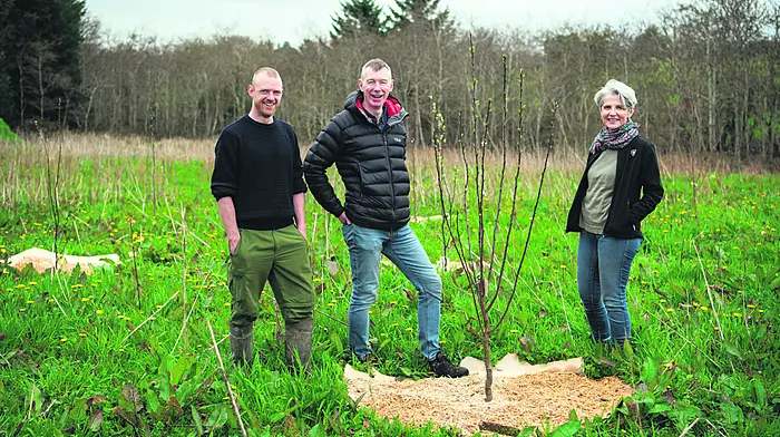 ‘Tree’ cheers for Lodge and Spa’s 25th birthday Image