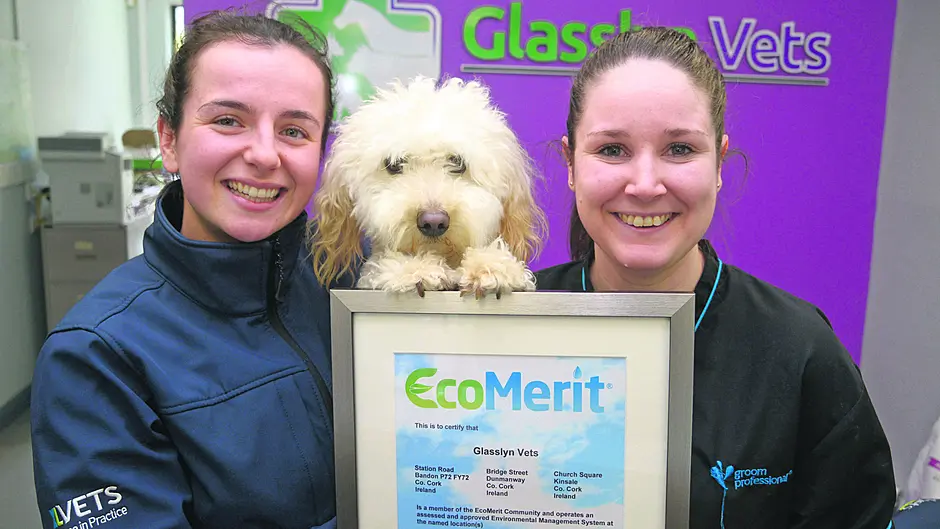 Glasslyn Vets honoured for sustainability commitment Image