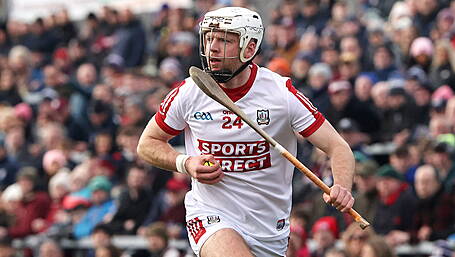 Meade: Carbery hurlers can play at highest levels Image