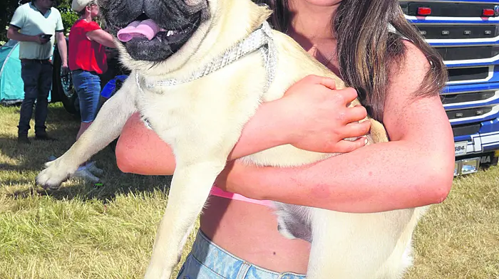 Molly Corcoran from Crookstown with ‘Max’ at the annual Innishannon steam and vintage rally. (Photo: Denis Boyle)