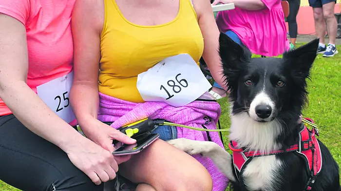 Yvonne Daly and Elaine Hurley Curtin with Rosie who took part in the Drinagh National School 5k fun run walk which raised funds for Cancer Connect, Poons (Mercy Hospital), St John’s Ward (Crumlin Hospital), Children’s Leukemia 
Association and Drinagh NS.  (Photo: Anne Minihane.)