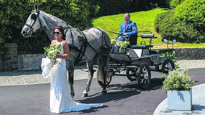Out and about in West Cork Image