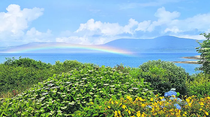 Reader’s Picture of the Week Image
