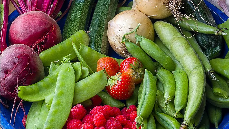 Gardening: Enjoy delicious berries and beans Image