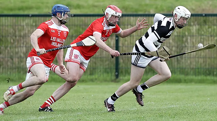 Unbeaten Plunkett’s hurlers have serious momentum and a winning mentality Image