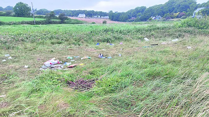 Green area strewn with rubbish after teenagers party on strand Image