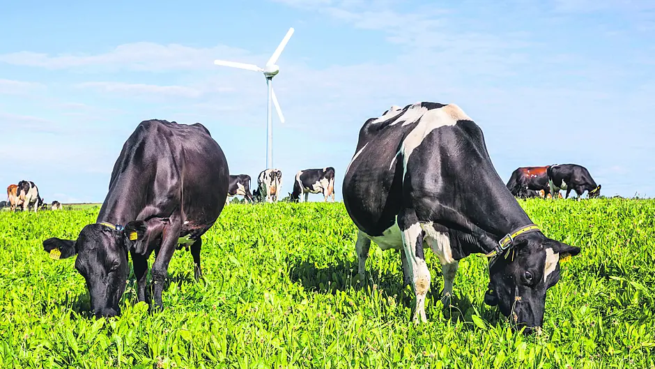Ballyvaddin project offers a signpost to the future for farming industry Image