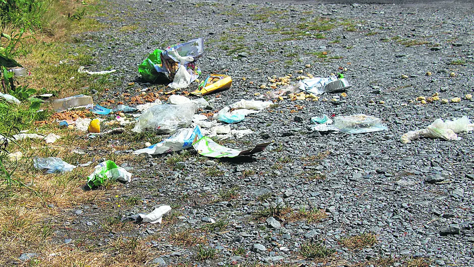 Cllr is fed up seeing dumping ‘around our beautiful county’ Image