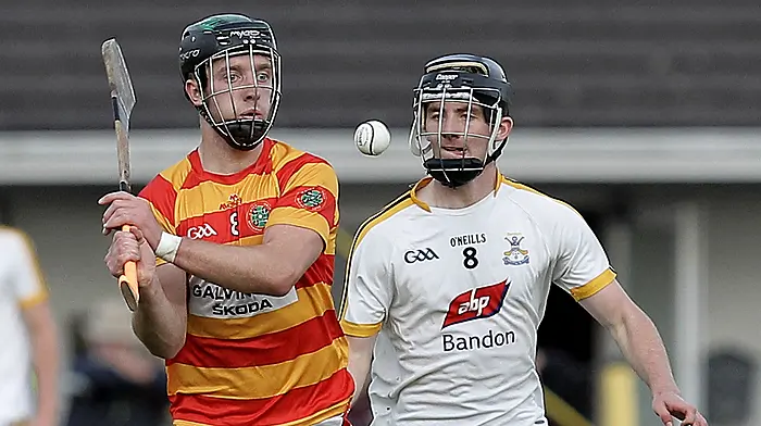 Newcestown crowned Carbery U21A hurling champions Image