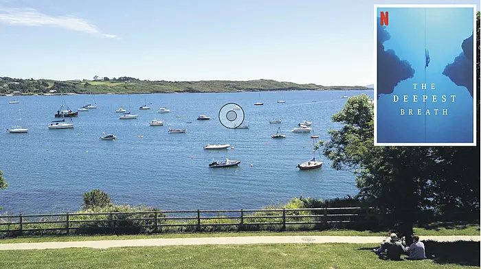 WOMAN ON THE VERGE: A sorry tale of Schull and crossroads Image