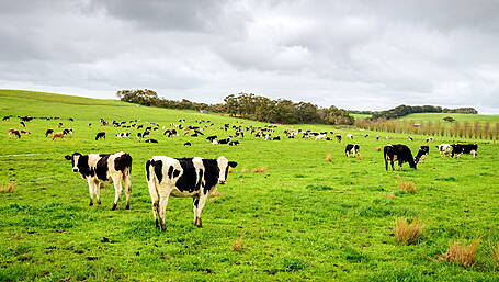 Dairy farms set for income drop in 2023, report warns Image