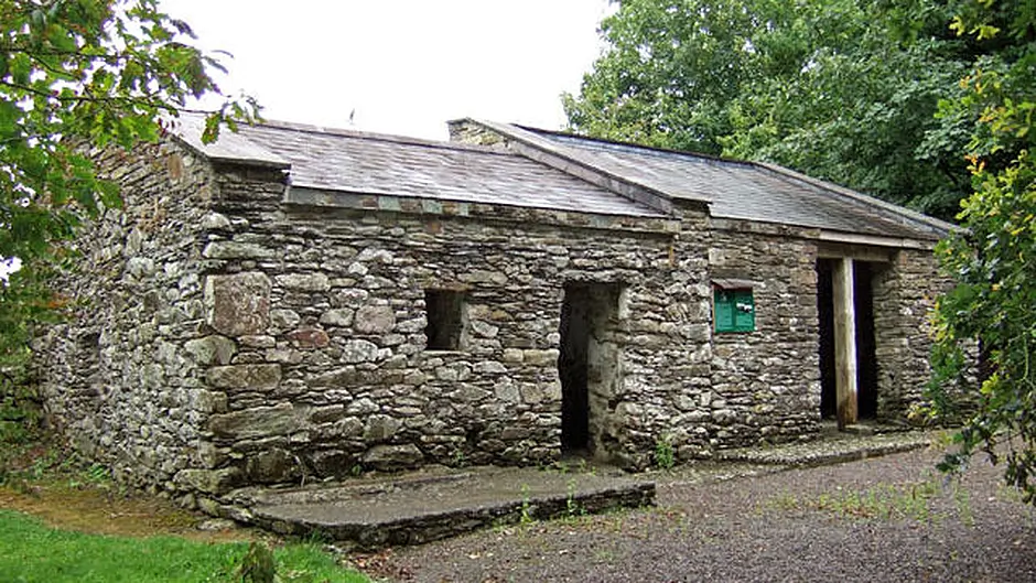 Charismatic and ruthless – the Clonakilty man who changed history Image