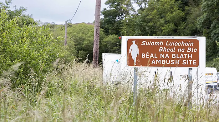 Health Minister to deliver Béal na Bláth oration in August Image