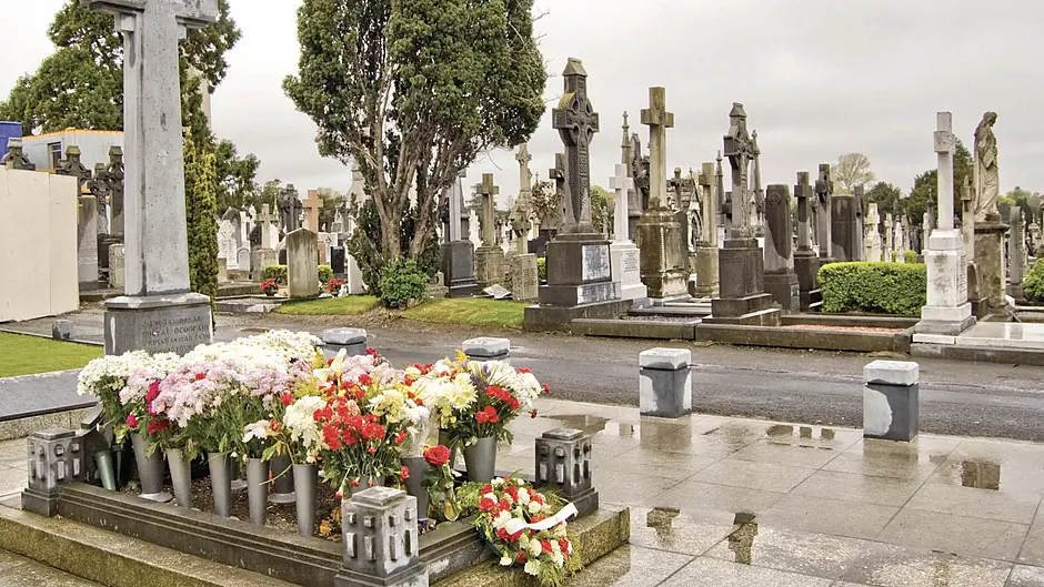 Fighting for the love of Michael Collins Image