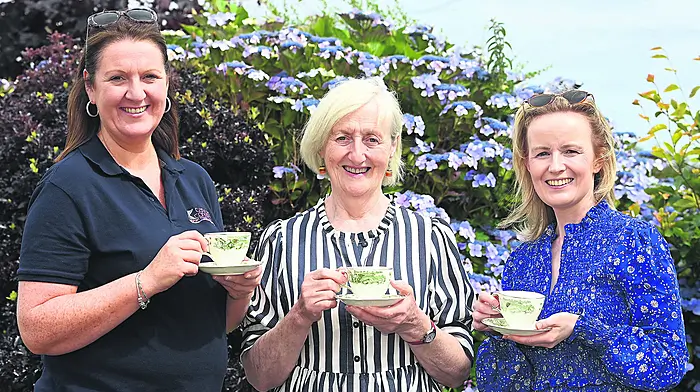 Eileen driving fundraising efforts for cancer services Image