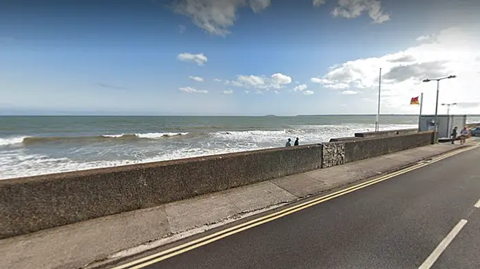 Garda appeal for witnesses after Youghal Iron Man deaths Image