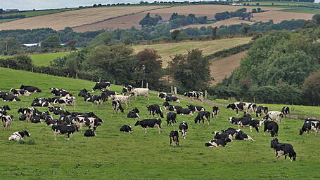 Censortec CowControl: Giving you peace of mind Image