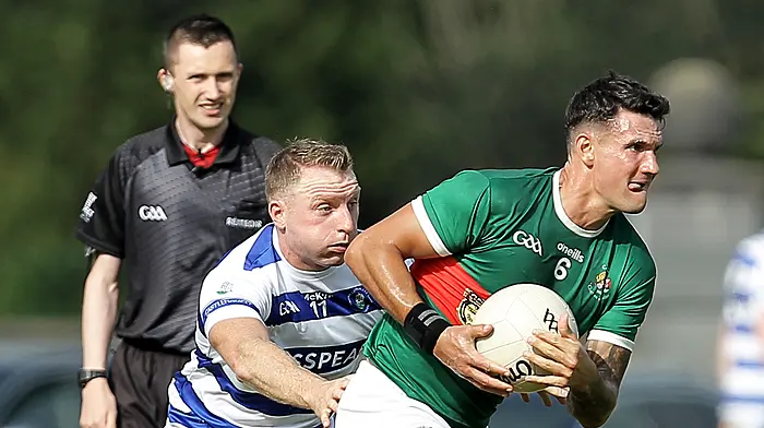 Haven and Clon prepare for county premier senior football quarter-finals on West Cork soil Image