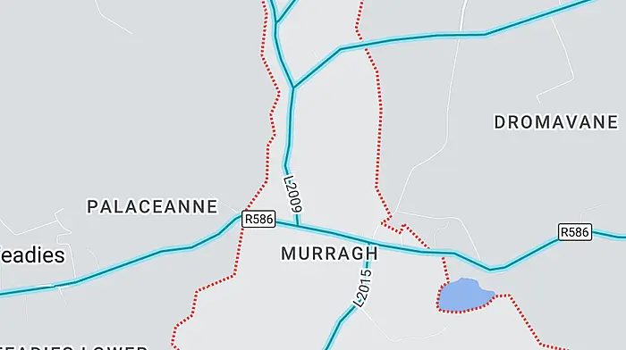 Breaking: Road closed after serious incident near Murragh outside Bandon Image