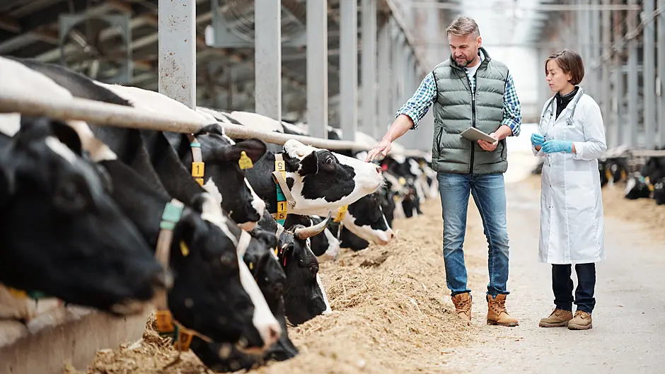 Is TB on the rise in West Cork? Image