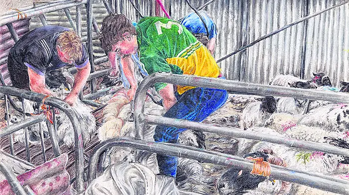 Libraries to display West Cork students’ winning Texaco art Image
