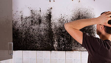 How to deal with damp in your home Image