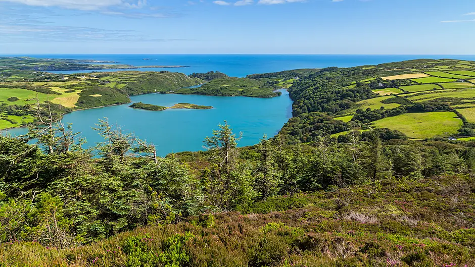 Lough Hyne on swimming ‘top 10’ despite scientists’ warnings Image