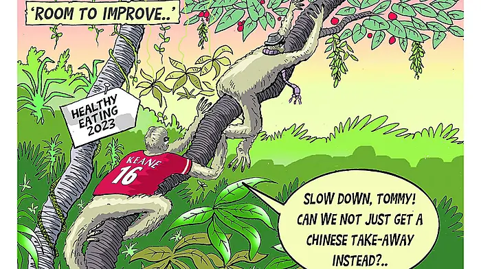 COLM TOBIN: I’m walking my way to the leftovers cupboard. So thanks, Roy Keane! Image