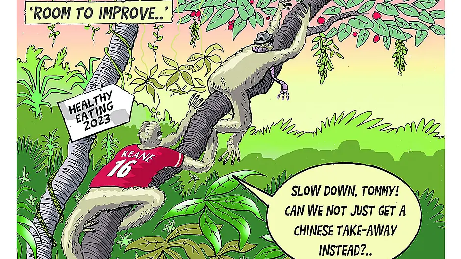COLM TOBIN: I’m walking my way to the leftovers cupboard. So thanks, Roy Keane! Image