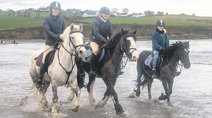 PICTURE GALLERY: Out and about in West Cork Image
