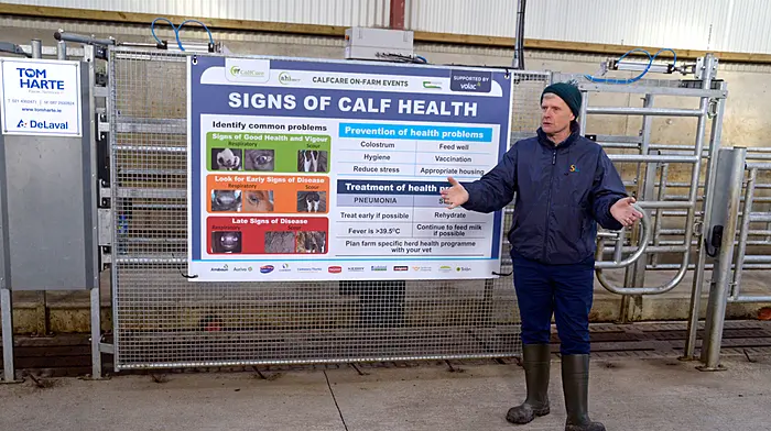 Cullinanes’ farm in Ballineen hosts busy calf rearing event Image