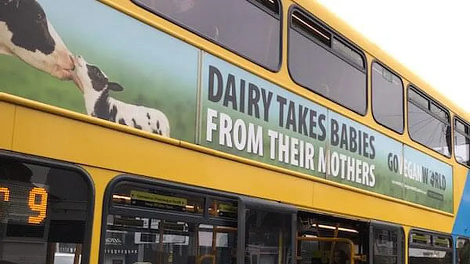 ‘Absurd’ bus poster are slammed by TD Image