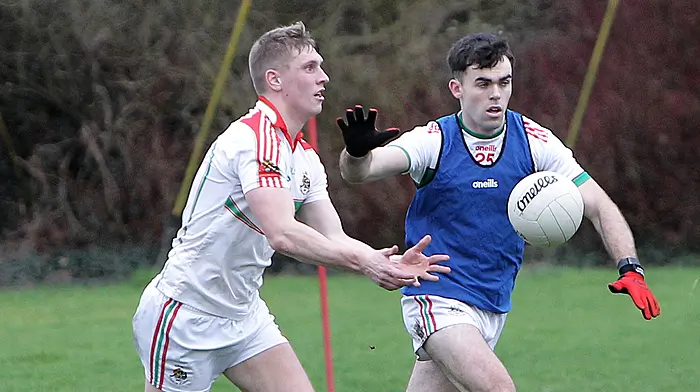 ‘Football blitz entertained and thrilled, just like Padraigh did’ Image