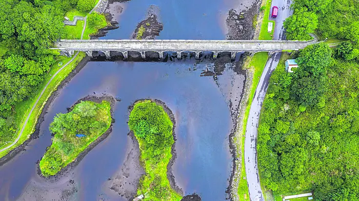 West Cork’s changing landscape Image