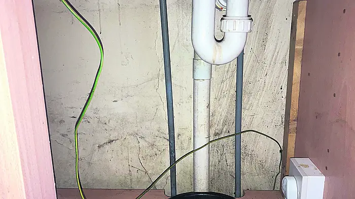 Woman fears she’ll be ‘stuck in mouldy chalet’ in Clon Image