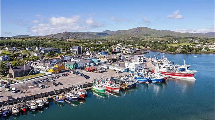 Tell me about . . . The challenges facing the Irish fishing sector Image