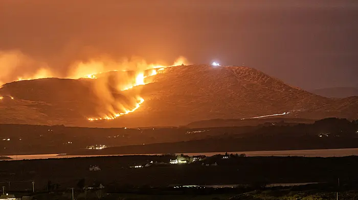 Major gorse fire on Mount Gabriel Image