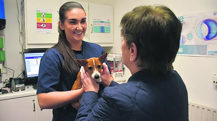 Better technology and healthier pets making the vet’s job a little easier Image