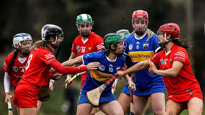Orlaith Cahalane solo goal inspires Cork to league win Image