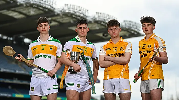 Class of 2023 hopes to emulate the Hamilton High School hurling heroes of 1993 Image