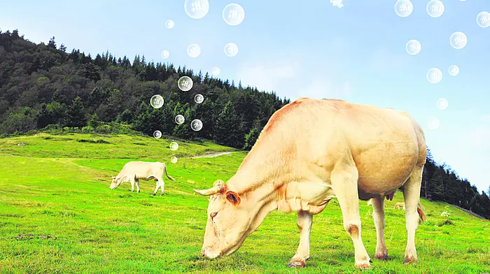 Methane emission targets are just not reasonable for the Irish agri sector Image
