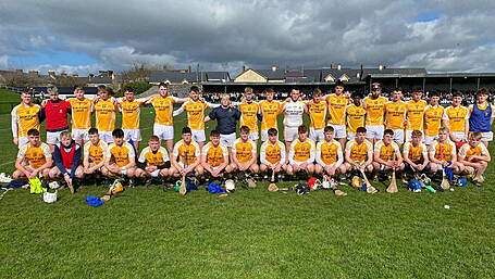 Brave Hammies hurlers come up short in All-Ireland final Image