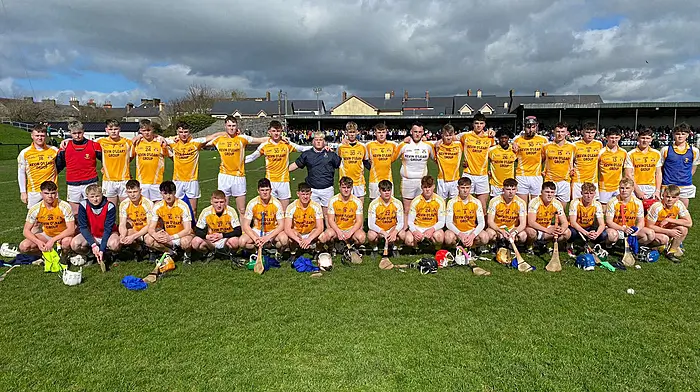 Brave Hammies hurlers come up short in All-Ireland final Image